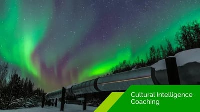 BP - Cultural Intelligence coaching